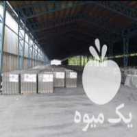 فروش پخش ایرانیت سیمانی و شیروانی گالوانیزه در تهران در گروه خرید فروش انواع پوشش ها و ورق ها - پلی استر پلی کربنات نایلون در یکمیوه