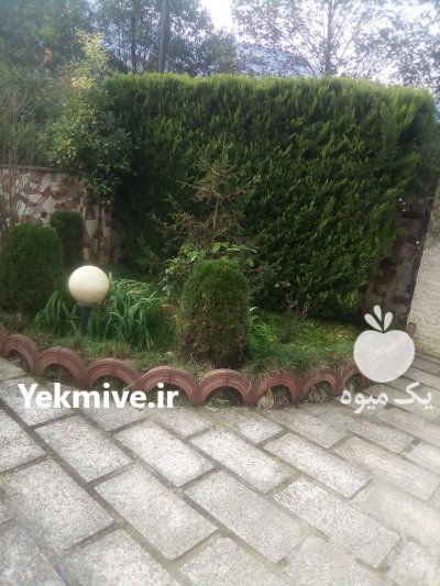 نگهداری باغچه ماهیانه و سالانه در نوشهر در مازندران در گروه باغدار - باغداری نگهدار کشاورز باغبان در یکمیوه