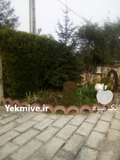 طراحی و اجرا و نظارت فضای سبز در نوشهر در گروه باغدار - باغداری نگهدار کشاورز باغبان در یکمیوه