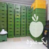 تولید و فروش سبد مخصوص کرم میلورم در دولت آباد در گروه خرید فروش انواع سبد - میوه پلاستیکی چوبی گل در یکمیوه