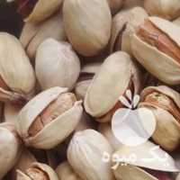 فروش پسته کله قوچی ارگانیک در تهران در گروه پسته - کوهی شامی خام اکبری تازه کله قوچی در یکمیوه