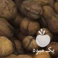 فروش گردو الموت مغز سفید پسته ای در قزوین در گروه پسته - کوهی شامی خام اکبری تازه کله قوچی در یکمیوه