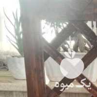 فروش گلدان چوبی به همراه گل کاکتوس طبیعی در تهران در گروه خرید فروش عمده گیاهان زینتی - گرمسیری آپارتمانی باغچه آب در یکمیوه