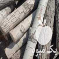 فروش چوب باغی    در خان ببین در گروه خرید فروش عمده چوب- زغال چوب گردو تبریزی خام در یکمیوه