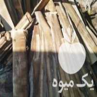 فروش چوب گردو الوار شده در همدان در گروه خرید فروش عمده چوب- زغال چوب گردو تبریزی خام در یکمیوه