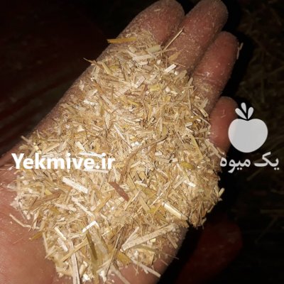 بزرگترین مرکز فروش علوفه و خوراک دام یوسفی در فومن در گروه خوراک دام و طیور - پرواری شیری علوفه یونجه در یکمیوه