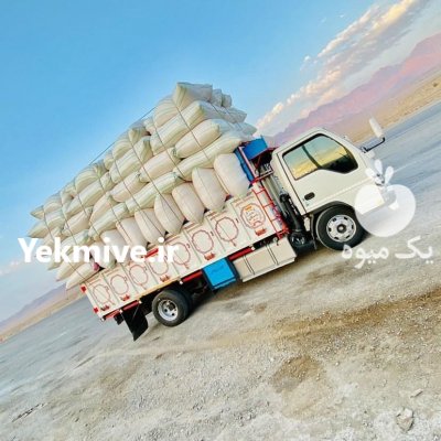 بزرگترین مرکز فروش علوفه و خوراک دام یوسفی در فومن در گروه خوراک دام و طیور - پرواری شیری علوفه یونجه در یکمیوه -عکس3