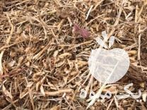 فروش کاه کلش سویا ساوالان در اصفهان در گروه خوراک دام و طیور - پرواری شیری علوفه یونجه در یکمیوه -عکس1