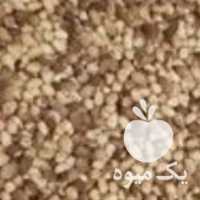 خریدار پسته پوک و رو آبی و‌مغز در رفسنجان در گروه پسته - کوهی شامی خام اکبری تازه کله قوچی در یکمیوه