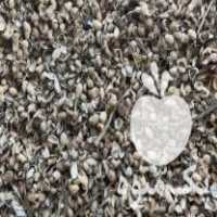 فروش پوست پسته وپوست بادام زمینی در تهران در گروه خرید فروش عمده چوب- زغال چوب گردو تبریزی خام در یکمیوه