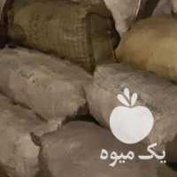 فروش عمده ذغال کبابی پسته طاق مشهد در تهران در گروه خرید فروش عمده چوب- زغال چوب گردو تبریزی خام در یکمیوه