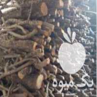 آگهی مشابه فروش چوب بادام خشک در اصفهان در گروه خرید فروش عمده چوب- زغال چوب گردو تبریزی خام در یکمیوه