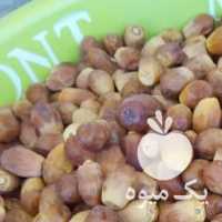 فروش خرمای خاسیو و قصب در تهران در گروه خرید فروش عمده خرما - کبکاب تازه زاهدی خشک خارک در یکمیوه