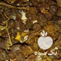 فروش کشمش تیزابی درجه 1 ارگانیک بدون سم وکود در قزوین در گروه آجیل - فروش عمده محصولات در یکمیوه