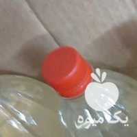 فروش سرکه سیب وانگور 100 ٪طبیعی تعداد محدود در تهران در گروه محصولات ترشی - گل کلم مخلوط لیته هفت بیجار در یکمیوه