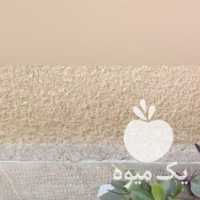 فروش گل و گیاه و کاکتوس در تهران در گروه خرید فروش عمده گیاهان زینتی - گرمسیری آپارتمانی باغچه آب در یکمیوه