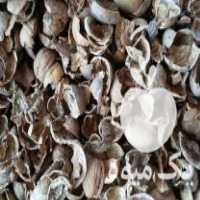 خرید و فروش پوست گردو بادام پسته در آذرشهر در گروه بادام - درختی کوهی زمینی فروش عمده در یکمیوه