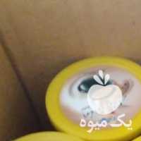 فروش چای ماسالا در رشت در گروه خرید فروش عمده چای - سبز ترش کوهی سیاه در یکمیوه