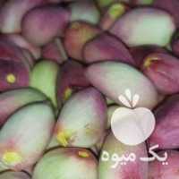 فروش عمده و جزئی پسته دامغان در تهران در گروه پسته - کوهی شامی خام اکبری تازه کله قوچی در یکمیوه