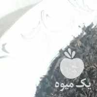 فروش چای شکسته در رشت در گروه خرید فروش عمده چای - سبز ترش کوهی سیاه در یکمیوه