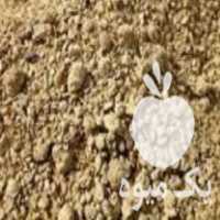 فروش سویا دامی خارجی وباکیفیت در سمنان در گروه خرید فروش عمده سویا - خوراکی تیم اسپانیول روغن در یکمیوه