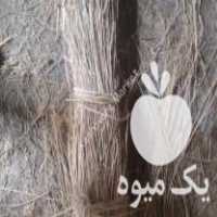 فروش کاه دسته های بزرگ برای بستن سبزی در آمل در گروه خوراک دام و طیور - پرواری شیری علوفه یونجه در یکمیوه