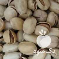 فروش پسته کله قوچی ارگانیک در تهران در گروه پسته - کوهی شامی خام اکبری تازه کله قوچی در یکمیوه