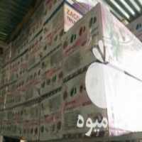 فروش عمده تفلون در مرودشت در گروه بارفروشی محصولات کشاورزی بار فروش تهران دزفول کرمان کرج در یکمیوه