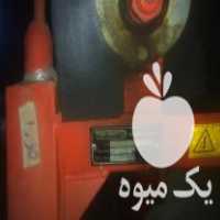 فروش سیب کن سبزدشت در دهگلان در گروه خرید فروش عمده سیب - زرد و قرمز گلاب پاییزه در یکمیوه