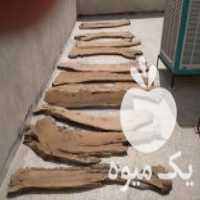 فروش چوب درخت سنجد در اصفهان در گروه خرید فروش عمده چوب- زغال چوب گردو تبریزی خام در یکمیوه