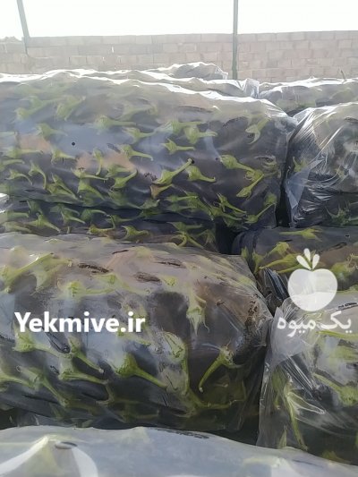 تامین کننده انواع سیفی جات جنوب کشور در دهبارز در گروه واردات و صادرات - محصولات کشاورزی دامداری دام ایران زعفران برنج در یکمیوه -عکس2