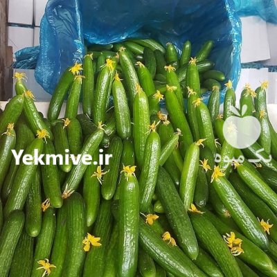 تامین کننده انواع سیفی جات جنوب کشور در دهبارز در گروه واردات و صادرات - محصولات کشاورزی دامداری دام ایران زعفران برنج در یکمیوه -عکس4