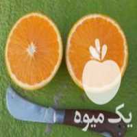 فروش انواع نهال مرکبات در ساری در گروه خرید فروش نهال - انواع گردو پسته بادام سلطانی انگور در یکمیوه