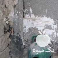 فروش مرغ و خروس مینیاتوری رزکامپ انگلیسی جوجه در تهران در گروه مرغ و خروس و بوقلمون و اردک قو قاز در یکمیوه