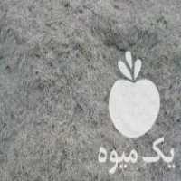 فروش علوفه درجه 1 در خور در گروه خوراک دام و طیور - پرواری شیری علوفه یونجه در یکمیوه