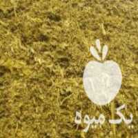 فروش ذرت علوفه ای سیلو در بوئین زهرا در گروه خوراک دام و طیور - پرواری شیری علوفه یونجه در یکمیوه