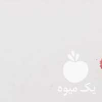 فروش مرغ خروس مینیاتوری اصل کوچک اپارتمانی در تهران در گروه مرغ و خروس و بوقلمون و اردک قو قاز در یکمیوه