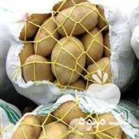 فروش سیب زمینی زرد پیراقوم در اردبیل در گروه خرید فروش عمده سیب زمینی - زودرس دیررس آگریا اسپریت اردبیل همدان در یکمیوه