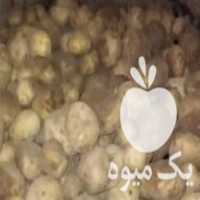 فروش سیب زمینی بذری جلی بامبا کلومبا اگریا سانتا اسپریت در رزن  در گروه خرید فروش عمده سیب زمینی - زودرس دیررس آگریا اسپریت اردبیل همدان در یکمیوه