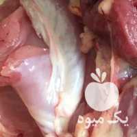 فروش پخش خرده گوشت گوساله و گوسفندی در تهران در گروه گاو و گوسفند و میش و بز کهره گوساله سمینتال در یکمیوه