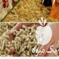 فروش خوراک دام وطیور   غذای حیوانات خانگی در کرج در گروه خوراک دام و طیور - پرواری شیری علوفه یونجه در یکمیوه