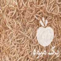 فروش میلورم خشک در اصفهان در گروه حیوانات خانگی - خرید و فروش در یکمیوه