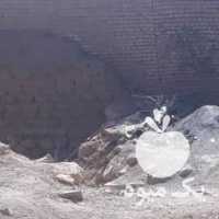 فروش کره اسب نریان در اصفهان در گروه خرید فروش نشا - انواع گوجه برنج کاهو پیاز کاری فرنگی در یکمیوه