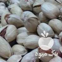 فروش پسته کله قوچی سبزوار جوین در تهران در گروه پسته - کوهی شامی خام اکبری تازه کله قوچی در یکمیوه