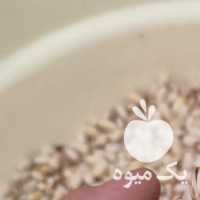 فروش پسته خشک بادامی در تهران در گروه بادام - درختی کوهی زمینی فروش عمده در یکمیوه