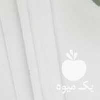 فروش کاکتوس شاداب درحال رشد در تهران در گروه خرید فروش عمده گیاهان زینتی - گرمسیری آپارتمانی باغچه آب در یکمیوه