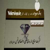 فروش کارتن سازی نگین درخشان شمس در تهران در گروه خرید فروش انواع بسته بندی کاغذی - کارتن مقوا در یکمیوه