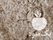 فروش خوراک دام و طیور در ایلخچی در گروه مرغ و خروس و بوقلمون و اردک قو قاز در یکمیوه -عکس1