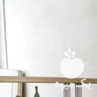 فروش گل و گیاه و کاکتوس اپارتمانی در تهران در گروه خرید فروش عمده گیاهان زینتی - گرمسیری آپارتمانی باغچه آب در یکمیوه