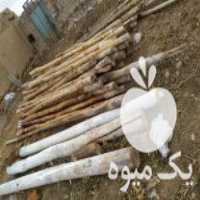فروش چوب دست دوم در ملکان در گروه خرید فروش عمده چوب- زغال چوب گردو تبریزی خام در یکمیوه